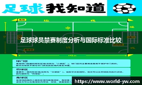 足球球员禁赛制度分析与国际标准比较